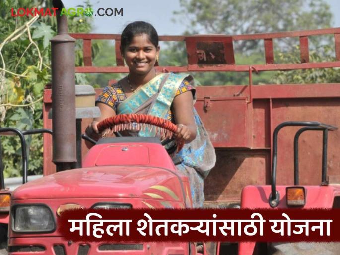 Latest news Tractor Scheme Women can buy tractors at half price, read details of scheme | Tractor Scheme : महिलांना अर्ध्या किमतीत ट्रॅक्टर खरेदी करता येणार, काय आहे ही योजना जाणून घ्या