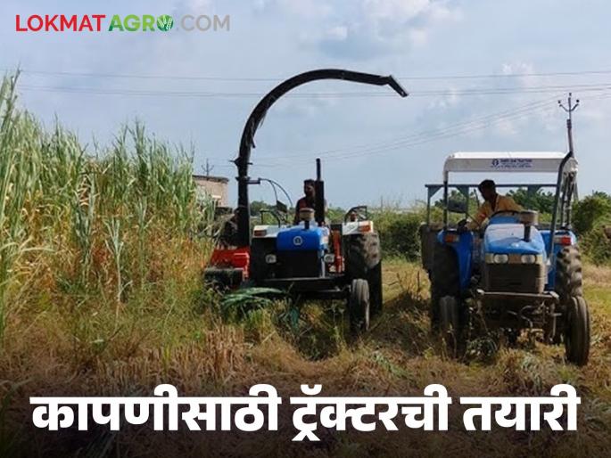 Latest News Tractor Servicing Tips Do these things before using tractor for harvesting, read in detail | Tractor Servicing : पीक काढणीच्या कामासाठी ट्रॅक्टरचा वापर करण्यापूर्वी 'या' गोष्टी कराच, वाचा सविस्तर  Latest News Tractor Servicing Tips Do these things before using tractor for harvesting, read in detail | Tractor Servicing : पीक काढणीच्या कामासाठी ट्रॅक्टरचा वापर करण्यापूर्वी 'या' गोष्टी कराच, वाचा सविस्तर