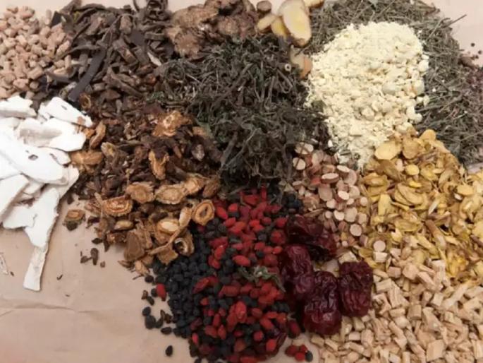 WHO Global Centre For Traditional Medicine In India PM Narendra Modi Said Very Popular Globally | भारताच्या वनौषधींचा जगात वाजणार डंका; WHO गुजरातमध्ये उघडणार ग्लोबल सेंटर WHO Global Centre For Traditional Medicine In India PM Narendra Modi Said Very Popular Globally | भारताच्या वनौषधींचा जगात वाजणार डंका; WHO गुजरातमध्ये उघडणार ग्लोबल सेंटर