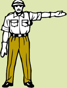 VIPs in Jalgaon district have broken state traffic rules | जळगाव जिल्ह्यातील व्हीआयपींनी मोडले राज्यभर वाहतुकीचे नियम