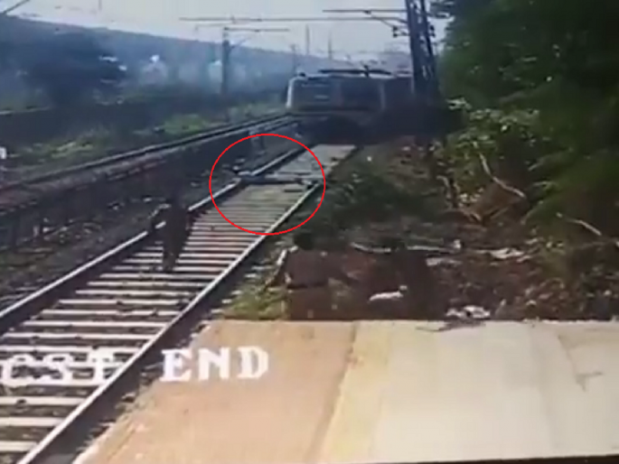 Viral Video: Man Slept in front of the train to commit suicide, loco pilot pulls the emergency break | Viral Video: आत्महत्या करण्यासाठी ट्रेनसमोर झोपला, ट्रेन जवळ आली तेवढ्यात; पाहा थरारक व्हिडिओ Viral Video: Man Slept in front of the train to commit suicide, loco pilot pulls the emergency break | Viral Video: आत्महत्या करण्यासाठी ट्रेनसमोर झोपला, ट्रेन जवळ आली तेवढ्यात; पाहा थरारक व्हिडिओ