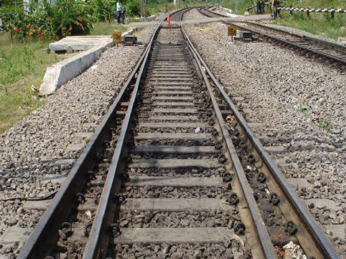 3043 mangroves to be slaughtered in freight corridor JNPT-Dadri double rail line | फ्रेट कॉरिडॉरमध्ये होणार ३०४३ खारफुटींची कत्तल, जेएनपीटी-दादरी दुपदरी रेल्वे मार्ग 3043 mangroves to be slaughtered in freight corridor JNPT-Dadri double rail line | फ्रेट कॉरिडॉरमध्ये होणार ३०४३ खारफुटींची कत्तल, जेएनपीटी-दादरी दुपदरी रेल्वे मार्ग