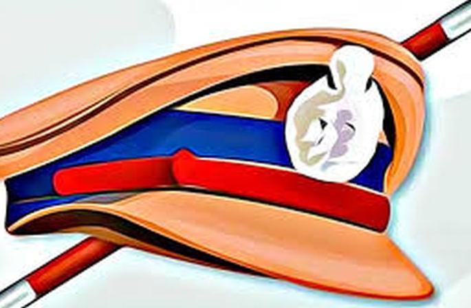 Transfers of Assistant Police Inspectors and Paelis Sub-Inspectors |  सहाय्यक पाेलीस निरिक्षक व पाेलीस उपनिरिक्षकांच्या बदल्या