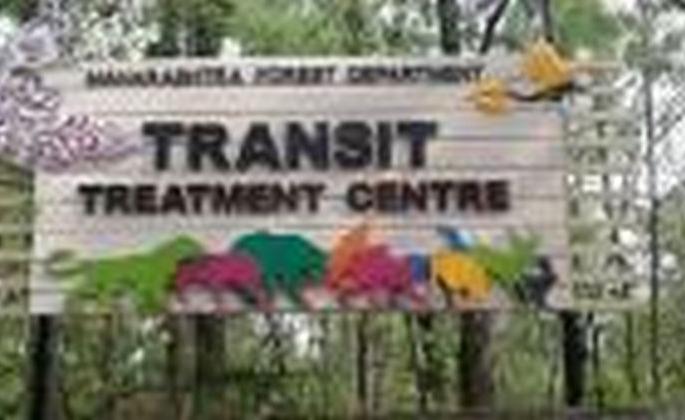 ... finally open the way to end wildlife inflammation! | ...अखेर वन्यजिवांचा दाह शमण्याचा मार्ग खुला! ... finally open the way to end wildlife inflammation! | ...अखेर वन्यजिवांचा दाह शमण्याचा मार्ग खुला!