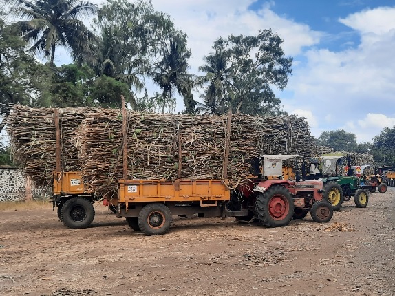 The cost of transporting sugarcane has gone up but the rates from the factories are the same as two years ago | ऊस वाहतुकीचा खर्च वाढला, कारखान्यांकडून दर मात्र दोन वर्षांपूर्वीचेच The cost of transporting sugarcane has gone up but the rates from the factories are the same as two years ago | ऊस वाहतुकीचा खर्च वाढला, कारखान्यांकडून दर मात्र दोन वर्षांपूर्वीचेच