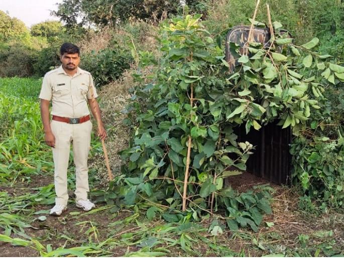 How many more victims are needed? Immediately seize or pill the man-eating leopard | आणखी किती बळी जाणार ? नरभक्षक बिबट्याला तात्काळ जेरबंद करा अथवा गोळ्या घाला How many more victims are needed? Immediately seize or pill the man-eating leopard | आणखी किती बळी जाणार ? नरभक्षक बिबट्याला तात्काळ जेरबंद करा अथवा गोळ्या घाला