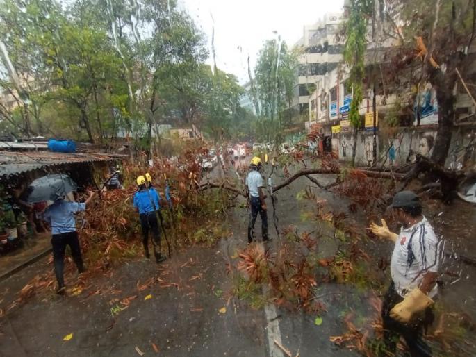 heavy rain in pune city tree have fallen in many places in city | वादळी वारा अन् जोरदार पाऊस; पुणे शहरात झाडपडीच्या घटना, जनजीवन विस्कळीत heavy rain in pune city tree have fallen in many places in city | वादळी वारा अन् जोरदार पाऊस; पुणे शहरात झाडपडीच्या घटना, जनजीवन विस्कळीत