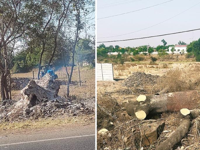 Chhatrapati Sambhajinagar Road Widening Controversy: Environmentalists Oppose Tree Felling Between Cantonment Naka & Devgiri T-Point | ३०० वर्ष जुन्या वृक्षांवर कुऱ्हाड; छावणी नाका-देवगिरी टी पॉईंट रस्ता रुंदीकरणाला पर्यावरणप्रेमींचा विरोध Chhatrapati Sambhajinagar Road Widening Controversy: Environmentalists Oppose Tree Felling Between Cantonment Naka & Devgiri T-Point | ३०० वर्ष जुन्या वृक्षांवर कुऱ्हाड; छावणी नाका-देवगिरी टी पॉईंट रस्ता रुंदीकरणाला पर्यावरणप्रेमींचा विरोध