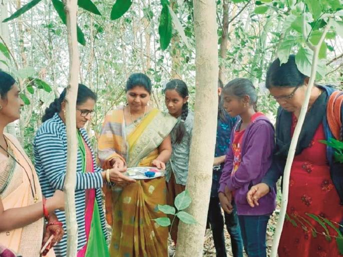 ...and school students celebrate the forest's birthday | ...अन् शाळेतील विद्यार्थी करतात जंगलाचा वाढदिवस साजरा  ...and school students celebrate the forest's birthday | ...अन् शाळेतील विद्यार्थी करतात जंगलाचा वाढदिवस साजरा