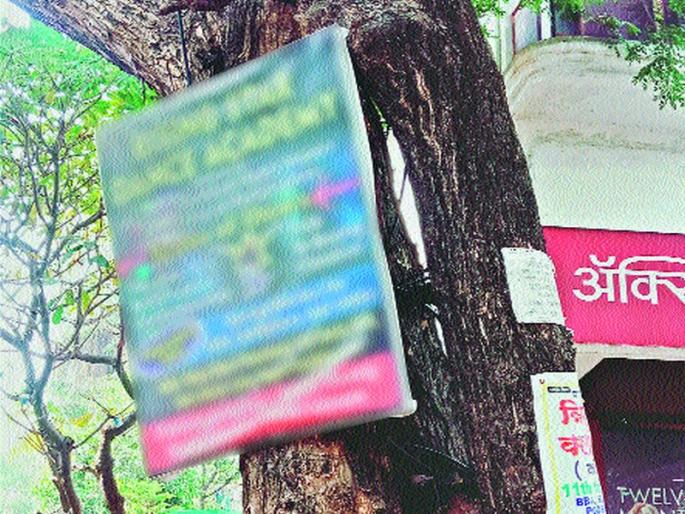 Identify adhesive plants | जाहिरात फलकांचा निगडीत झाडांना विळखा