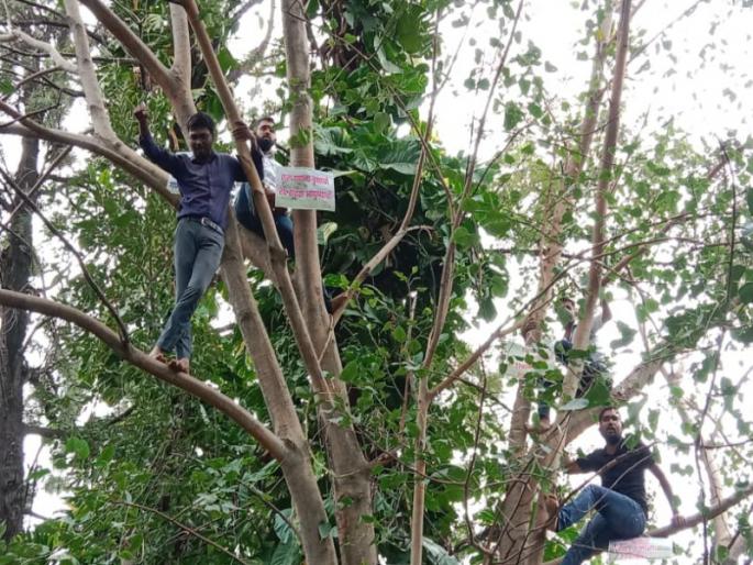 Pimpri-Chinchwad Municipal Corporation manipulates tree census; Rayat Vidyarthi Parishad's agitation sitting on a tree | पिंपरी - चिंचवड महापालिकेकडून वृक्षगणनेबाबत चालढकल; रयत विद्यार्थी परिषदेचे झाडावर बसून आंदोलन Pimpri-Chinchwad Municipal Corporation manipulates tree census; Rayat Vidyarthi Parishad's agitation sitting on a tree | पिंपरी - चिंचवड महापालिकेकडून वृक्षगणनेबाबत चालढकल; रयत विद्यार्थी परिषदेचे झाडावर बसून आंदोलन