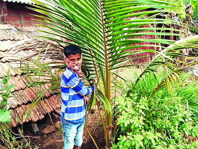 The students put bars of beautiful trees | विद्यार्थ्यांनी घातले चक्क झाडांचेच बारसे