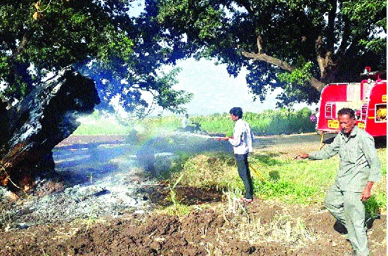 Types of chemical doses in British doses | ब्रिटिशकालीन वटवृक्षांना केमिकल डोस वाईतील अघोरी प्रकार Types of chemical doses in British doses | ब्रिटिशकालीन वटवृक्षांना केमिकल डोस वाईतील अघोरी प्रकार