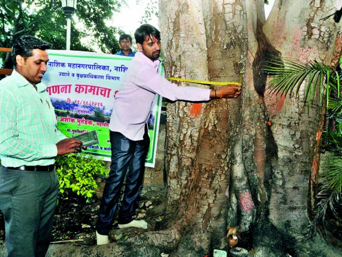 In Nashik, the number of trees crossed 40 lakhs | नाशिकमध्ये वृक्षगणनेत ४० लाखांचा आकडा झाला पार  In Nashik, the number of trees crossed 40 lakhs | नाशिकमध्ये वृक्षगणनेत ४० लाखांचा आकडा झाला पार