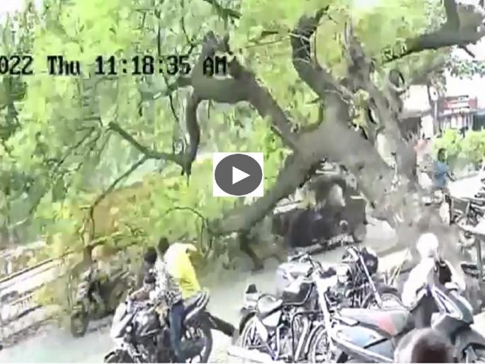 'The time had come but ...'; A tree suddenly uprooted on the way; Auto, two bikes came down | 'काळ आला होता पण...'; रस्त्यावर अचानक उन्मळून पडले झाड; ऑटो, दोन दुचाकी आल्या खाली