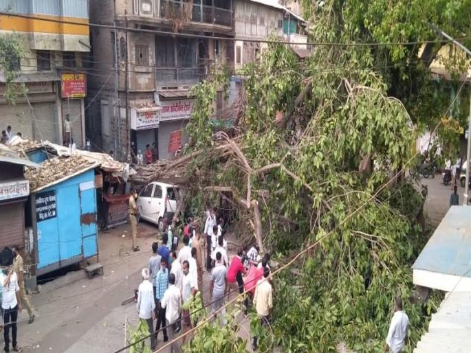 The banyan tree on Pimpalpar collapsed! | पन्नास वर्षे जुने झाड : पिंपळपारावरील वटवृक्ष कोसळला ! The banyan tree on Pimpalpar collapsed! | पन्नास वर्षे जुने झाड : पिंपळपारावरील वटवृक्ष कोसळला !