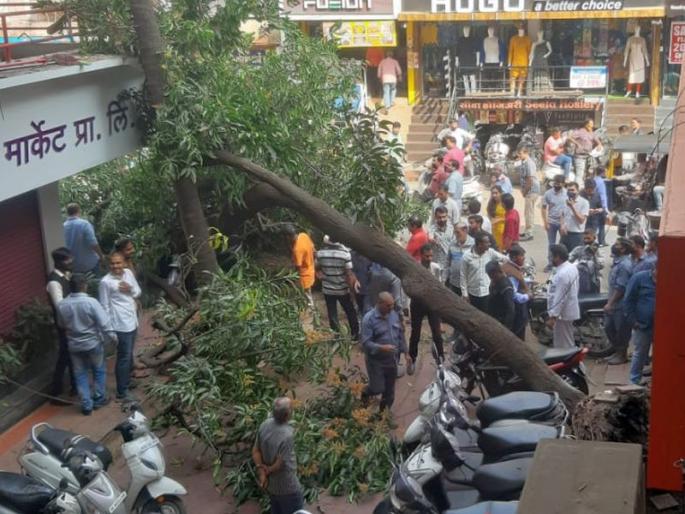 Mango tree fell in Vakilwadi | वकिलवाडीत आंब्याचे झाड कोसळले; पाच दुचाकींचे नुकसान Mango tree fell in Vakilwadi | वकिलवाडीत आंब्याचे झाड कोसळले; पाच दुचाकींचे नुकसान