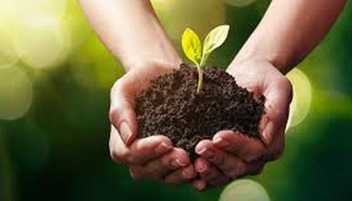 Daughter will becom reach by parents tree conservation | पालकाच्या वृक्ष संवर्धनातून कन्या होणार लखपती ! Daughter will becom reach by parents tree conservation | पालकाच्या वृक्ष संवर्धनातून कन्या होणार लखपती !