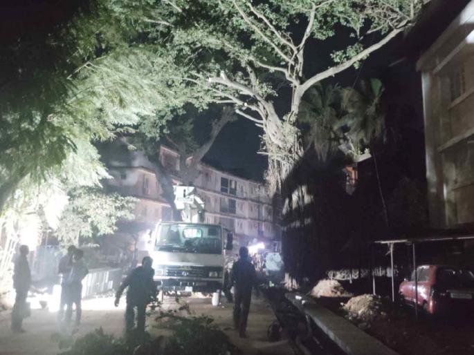 In spite of the activists, the administration finally slaughtered 'that' tree at 2 midnight | कार्यकर्त्यांना न जुमानता अखेर 'त्या' झाडाची प्रशासनाने मध्यरात्री २ वाजता केली कत्तल In spite of the activists, the administration finally slaughtered 'that' tree at 2 midnight | कार्यकर्त्यांना न जुमानता अखेर 'त्या' झाडाची प्रशासनाने मध्यरात्री २ वाजता केली कत्तल