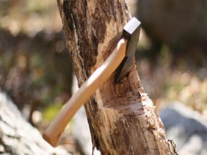 Tree felling on Ganeshkhind road suspended again | गणेशखिंड रस्त्यावरील वृक्षतोडीला पुन्हा स्थगिती Tree felling on Ganeshkhind road suspended again | गणेशखिंड रस्त्यावरील वृक्षतोडीला पुन्हा स्थगिती