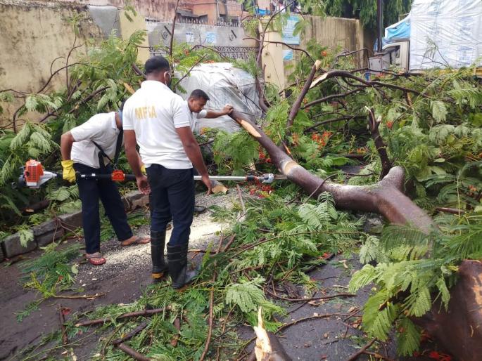 In Ulhasnagar, 43 trees fell, 23 houses were damaged and nallas were flooded rain | जोरदार पावसानं उल्हासनगरात ४३ झाडे पडली, तर २३ घरांचे नुकसान In Ulhasnagar, 43 trees fell, 23 houses were damaged and nallas were flooded rain | जोरदार पावसानं उल्हासनगरात ४३ झाडे पडली, तर २३ घरांचे नुकसान