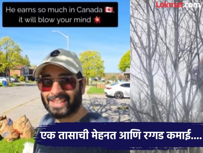 Viral Video : Canada man earned 700 dollar from just cutting tree in one hour | काय सांगता! कॅनडात लाकूडतोड्या एका तासात करतो छप्परफाड कमाई, आकडा वाचाल तर नक्कीच येईल चक्कर... Viral Video : Canada man earned 700 dollar from just cutting tree in one hour | काय सांगता! कॅनडात लाकूडतोड्या एका तासात करतो छप्परफाड कमाई, आकडा वाचाल तर नक्कीच येईल चक्कर...