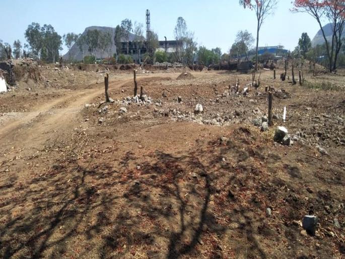 Tree felling at Ambad on the occasion of lock down | लॉक डाऊनची संधी साधून अंबड येथे वृक्षतोड Tree felling at Ambad on the occasion of lock down | लॉक डाऊनची संधी साधून अंबड येथे वृक्षतोड