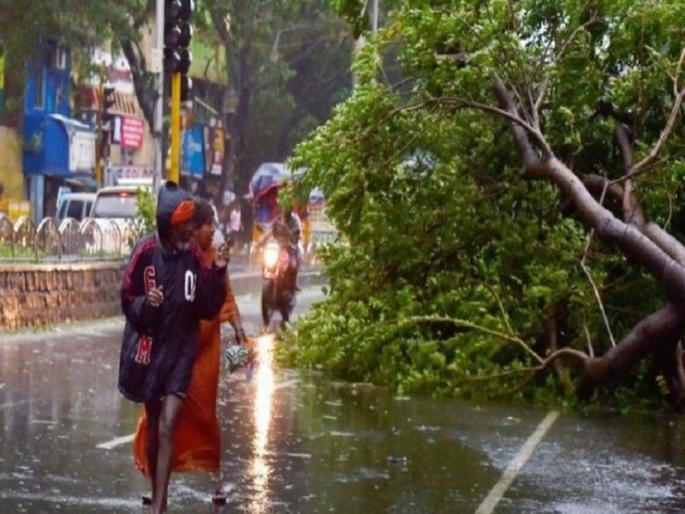 91-Years Old Walkeshwar Woman Dies After a Branch Falls on Her Head | झाडाची फांदी डोक्यावर पडून 91 वर्षीय वृद्धेचा मृत्यू 91-Years Old Walkeshwar Woman Dies After a Branch Falls on Her Head | झाडाची फांदी डोक्यावर पडून 91 वर्षीय वृद्धेचा मृत्यू