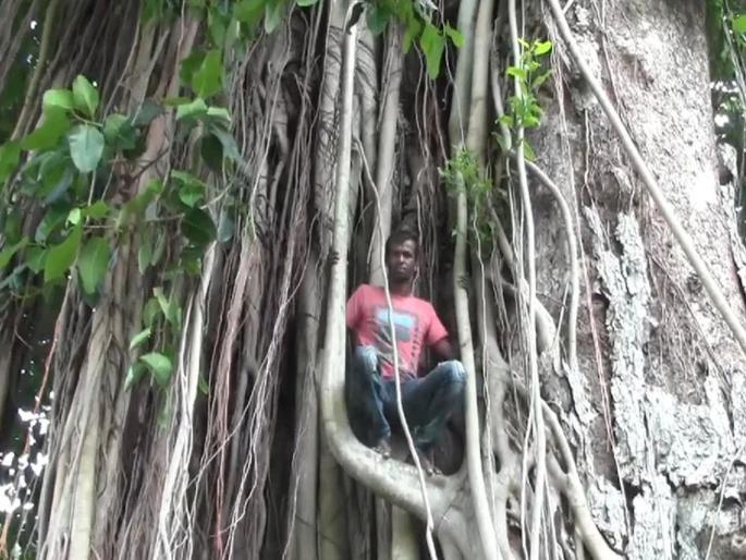 ICC World Cup 2019: For 'this' reason, a cricket fan has reached on trees | ICC World Cup 2019 : 'या' कारणासाठी श्रीलंकेचा क्रिकेटवेडा चक्क झाडावर चढला