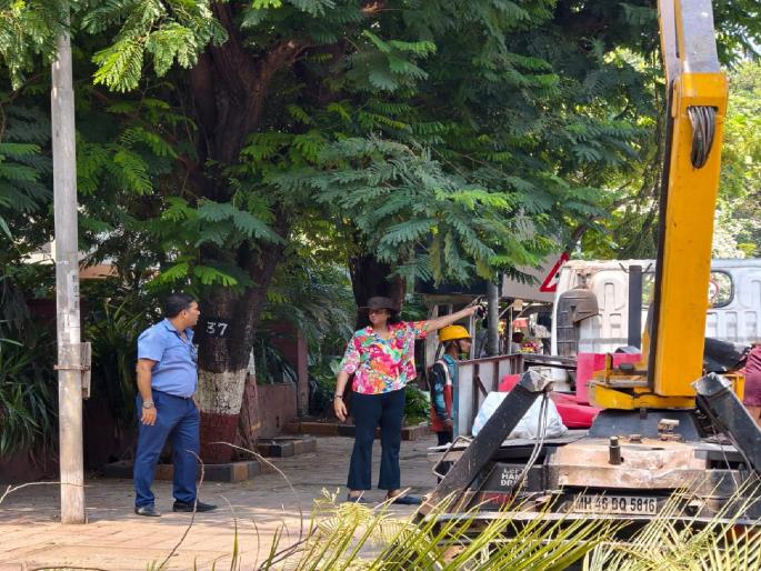 role of tree pruning dialogue Photo mail in the name of tree trimming | वृक्ष छाटणी संवादाची भूमिका; पर्यावरण आणि वृक्ष प्रेमींच्या इशाऱ्यानंतर निर्णय role of tree pruning dialogue Photo mail in the name of tree trimming | वृक्ष छाटणी संवादाची भूमिका; पर्यावरण आणि वृक्ष प्रेमींच्या इशाऱ्यानंतर निर्णय