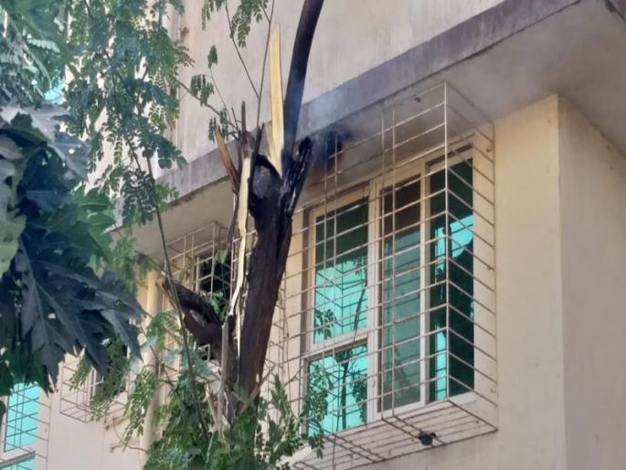 Fire broke out due to electrocution while breaking tree branches; One injured | झाडांच्या फांद्या तोडत असताना विद्युतवाहिनीमुळे लागली आग; एकजण जखमी 