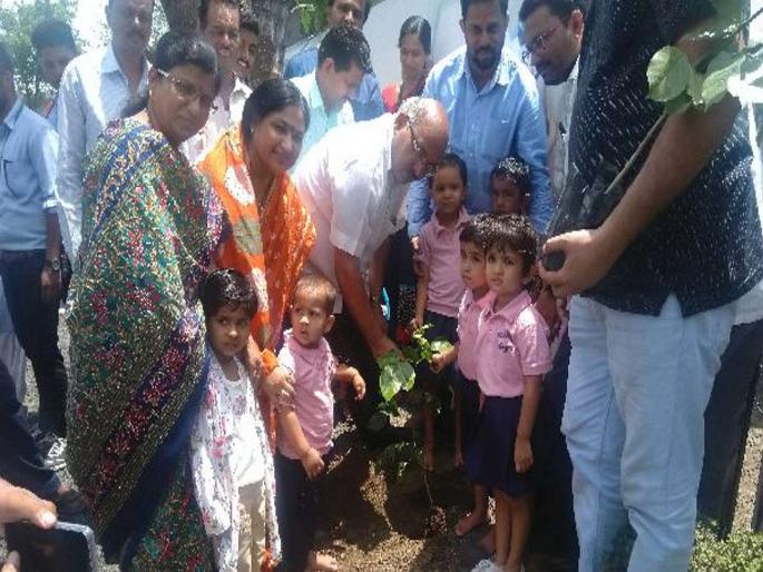 Vidarbha tree 'break' | विदर्भात वृक्षलागवडीला ‘ब्रेक’, पाऊस बेपत्ता झाल्याने रोपांना टँकरने पाणीपुरवठा