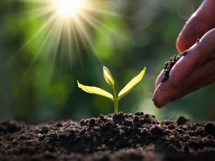 municipality campaign in mumbai vrikshavalli amha soyre vanchare to prevent pollution | प्रदूषण रोखण्यासाठी पालिकेचे ‘वृक्षवल्ली आम्हा सोयरे वनचरे..!’ municipality campaign in mumbai vrikshavalli amha soyre vanchare to prevent pollution | प्रदूषण रोखण्यासाठी पालिकेचे ‘वृक्षवल्ली आम्हा सोयरे वनचरे..!’