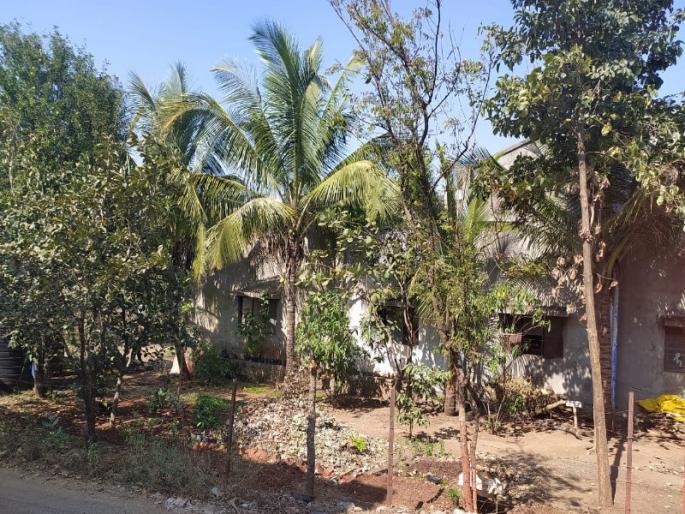 Planting herbs in the company's open space | आयडियाची कल्पना! कंपनीच्या मोकळ्या आवारात वनौषधींची लागवड; उत्पन्नही झाले सुरु Planting herbs in the company's open space | आयडियाची कल्पना! कंपनीच्या मोकळ्या आवारात वनौषधींची लागवड; उत्पन्नही झाले सुरु