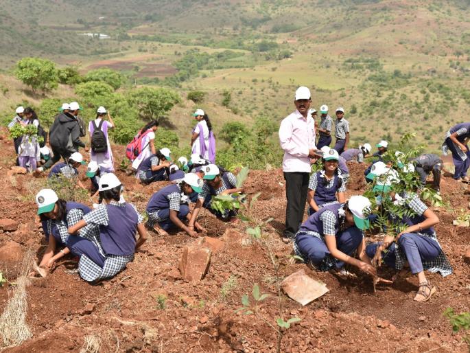 Fragrance of flowers wafting in the field, Mauli's initiative | शेरेत दरवळणार फुलांचा सुगंध, माऊलीचा उपक्रम : गावभर तीनशे फुलझाडांची लागवड Fragrance of flowers wafting in the field, Mauli's initiative | शेरेत दरवळणार फुलांचा सुगंध, माऊलीचा उपक्रम : गावभर तीनशे फुलझाडांची लागवड