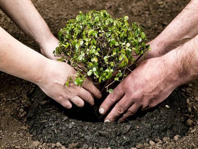 Drone shooting, spot photoography, 33 million trees planting |  ३३ कोटी वृक्षलागवडीचे ड्रोन शूटिंग, स्पॉट फोटोग्रॉफी, १ जुलै ते ३० सप्टेंबर दरम्यान मोहीम Drone shooting, spot photoography, 33 million trees planting |  ३३ कोटी वृक्षलागवडीचे ड्रोन शूटिंग, स्पॉट फोटोग्रॉफी, १ जुलै ते ३० सप्टेंबर दरम्यान मोहीम