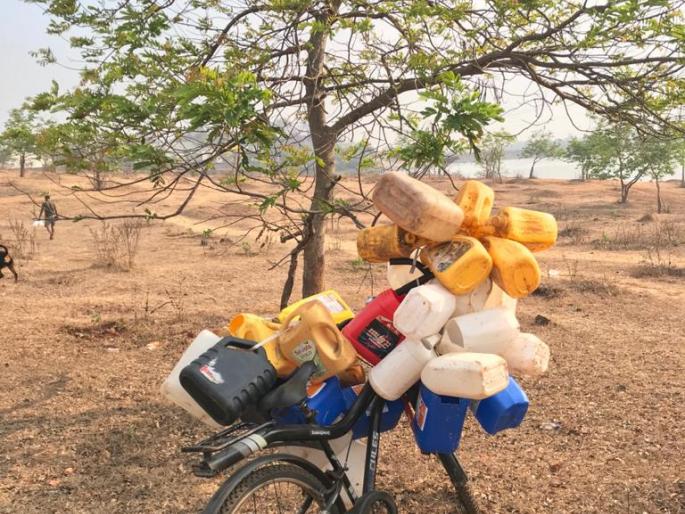 The trees around Jagaram Lake, a group of Morning Walks, did alchemy | राजाराम तलावासभोवती जगवली झाडे, मॉर्निंग वॉकच्या गटाने केली किमया The trees around Jagaram Lake, a group of Morning Walks, did alchemy | राजाराम तलावासभोवती जगवली झाडे, मॉर्निंग वॉकच्या गटाने केली किमया