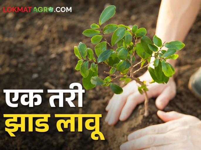 World Environment Day; Let's plant at least one tree, friend, let's give water it & save it | World Environment Day; एक तरी झाड लावू मित्रा त्याला पाणी घालू World Environment Day; Let's plant at least one tree, friend, let's give water it & save it | World Environment Day; एक तरी झाड लावू मित्रा त्याला पाणी घालू