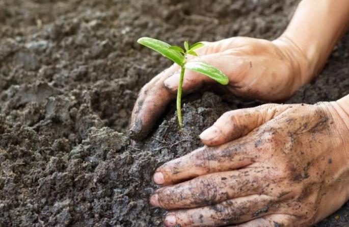 Dombivli cycle club activities: Tree plantation by cycle safari | डोंबिवली सायकल क्लबच्या उपक्रमा:सायकल सफारीद्वारे वृक्ष लागवड Dombivli cycle club activities: Tree plantation by cycle safari | डोंबिवली सायकल क्लबच्या उपक्रमा:सायकल सफारीद्वारे वृक्ष लागवड