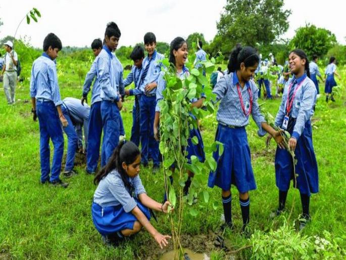 The effect of ‘Corona’ on the forest festival | अभियान रद्द : वनमहोत्सवावर ‘कोरोना’चा प्रभाव