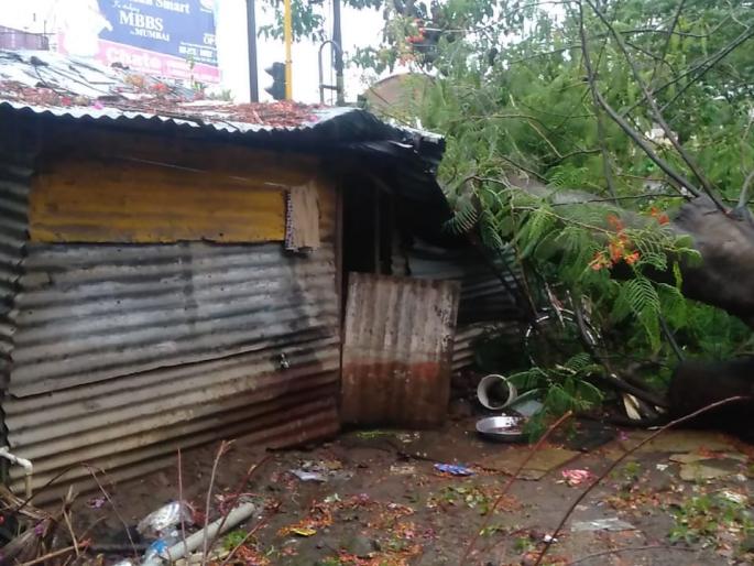 Rain showers in Kolhapur, tree collapses- one injured | कोल्हापूरमध्ये पावसाच्या सरी, झाड कोसळले- एक जखमी Rain showers in Kolhapur, tree collapses- one injured | कोल्हापूरमध्ये पावसाच्या सरी, झाड कोसळले- एक जखमी