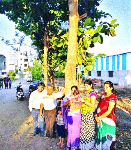 Plantation to be planned for 'City of Livelihood'; The number of trees will increase | लेकीच्या आठवणीसाठी माहेरी होणार वृक्षारोपण ‘नगर विकास’ची योजना; झाडांची संख्या वाढणार Plantation to be planned for 'City of Livelihood'; The number of trees will increase | लेकीच्या आठवणीसाठी माहेरी होणार वृक्षारोपण ‘नगर विकास’ची योजना; झाडांची संख्या वाढणार