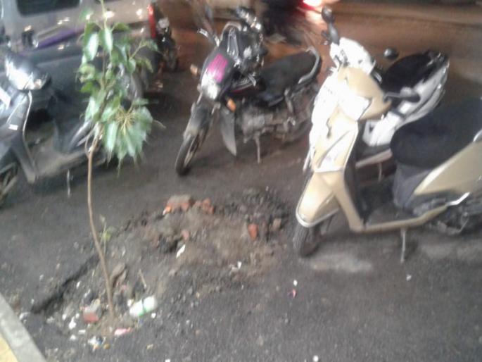 Awesome management ..! Plantation by Municipal corporation on widening roads | अजब कारभार..! धायरीत रूंदीकरण केलेल्या रस्त्यांवर महापालिकेतर्फे वृक्षारोपण Awesome management ..! Plantation by Municipal corporation on widening roads | अजब कारभार..! धायरीत रूंदीकरण केलेल्या रस्त्यांवर महापालिकेतर्फे वृक्षारोपण