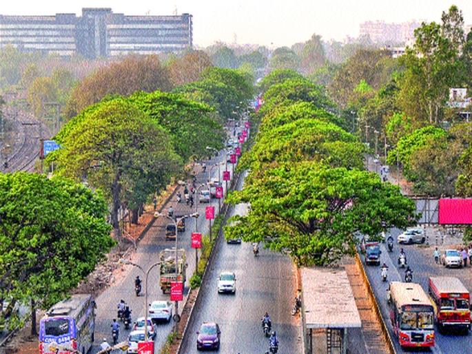 486 tree cuting For the 'Metro' project | ‘मेट्रो’ प्रकल्पासाठी ४८६ झाडांचा बळी 486 tree cuting For the 'Metro' project | ‘मेट्रो’ प्रकल्पासाठी ४८६ झाडांचा बळी