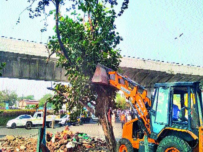 Mumbai City: Bulldozers run by the municipal corporation on the face of encroachment eradication squad | मुंबईनाका : अतिक्रमण निर्मूलन पथकाचा प्रतापवटवृक्षावर पालिकेने चालविला बुलडोझर Mumbai City: Bulldozers run by the municipal corporation on the face of encroachment eradication squad | मुंबईनाका : अतिक्रमण निर्मूलन पथकाचा प्रतापवटवृक्षावर पालिकेने चालविला बुलडोझर