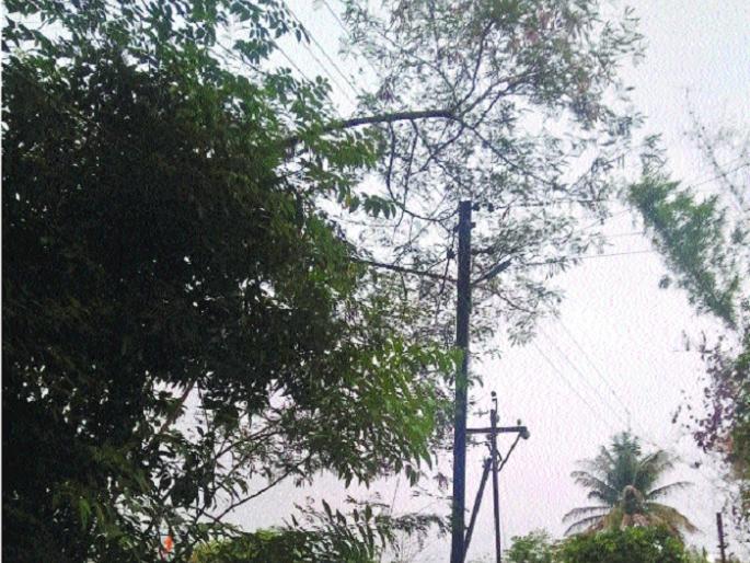 Forget about non-monsoon employees: - Ignore the power distribution workers | मान्सूनपूर्व कामांचा अधिकाऱ्यांना विसर--: वीज वितरणच्या कर्मचाऱ्यांकडून दुर्लक्ष Forget about non-monsoon employees: - Ignore the power distribution workers | मान्सूनपूर्व कामांचा अधिकाऱ्यांना विसर--: वीज वितरणच्या कर्मचाऱ्यांकडून दुर्लक्ष