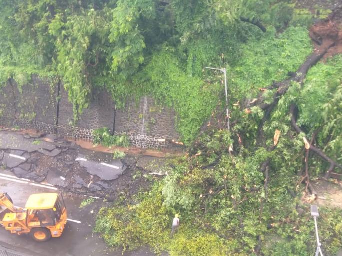 Trees fell in 361 places, 3 thousand 202 calls came in 1916, 2 people died | ३६१ ठिकाणी झाडे कोसळली, १९१६ वर आले ३ हजार २०२ कॉल, २ जणांचा मृत्यू Trees fell in 361 places, 3 thousand 202 calls came in 1916, 2 people died | ३६१ ठिकाणी झाडे कोसळली, १९१६ वर आले ३ हजार २०२ कॉल, २ जणांचा मृत्यू
