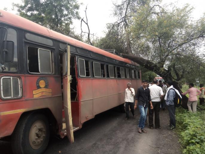A fallen tree on a running bus; travelers escape briefly | धावत्या बसवर कोसळले झाड ; ४५ प्रवासी थोडक्यात वाचले A fallen tree on a running bus; travelers escape briefly | धावत्या बसवर कोसळले झाड ; ४५ प्रवासी थोडक्यात वाचले