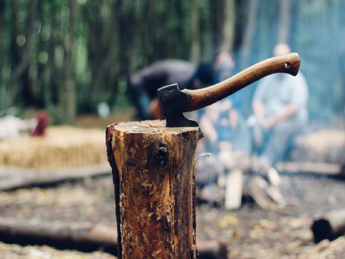 632 trees in Navi Mumbai will be slaughtered Replanting of 84 trees | नवी मुंबईतील ६३२ वृक्षराजींची होणार कत्तल; ८४ झाडांचे पुनर्रोपण 632 trees in Navi Mumbai will be slaughtered Replanting of 84 trees | नवी मुंबईतील ६३२ वृक्षराजींची होणार कत्तल; ८४ झाडांचे पुनर्रोपण