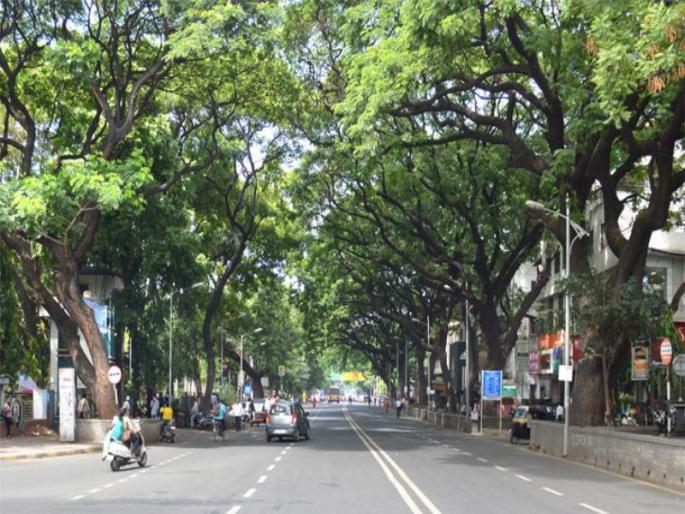 More trees than Punekar ... but only certain areas are green | पुणेकरांपेक्षा झाडे जास्त... पण ठराविक भागच हिरवागार